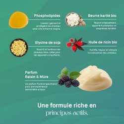 MASQUE CAPILLAIRE LISSANT – PHOSPHOLIPIDES & GLYCINE DE SOJA | NORALYS